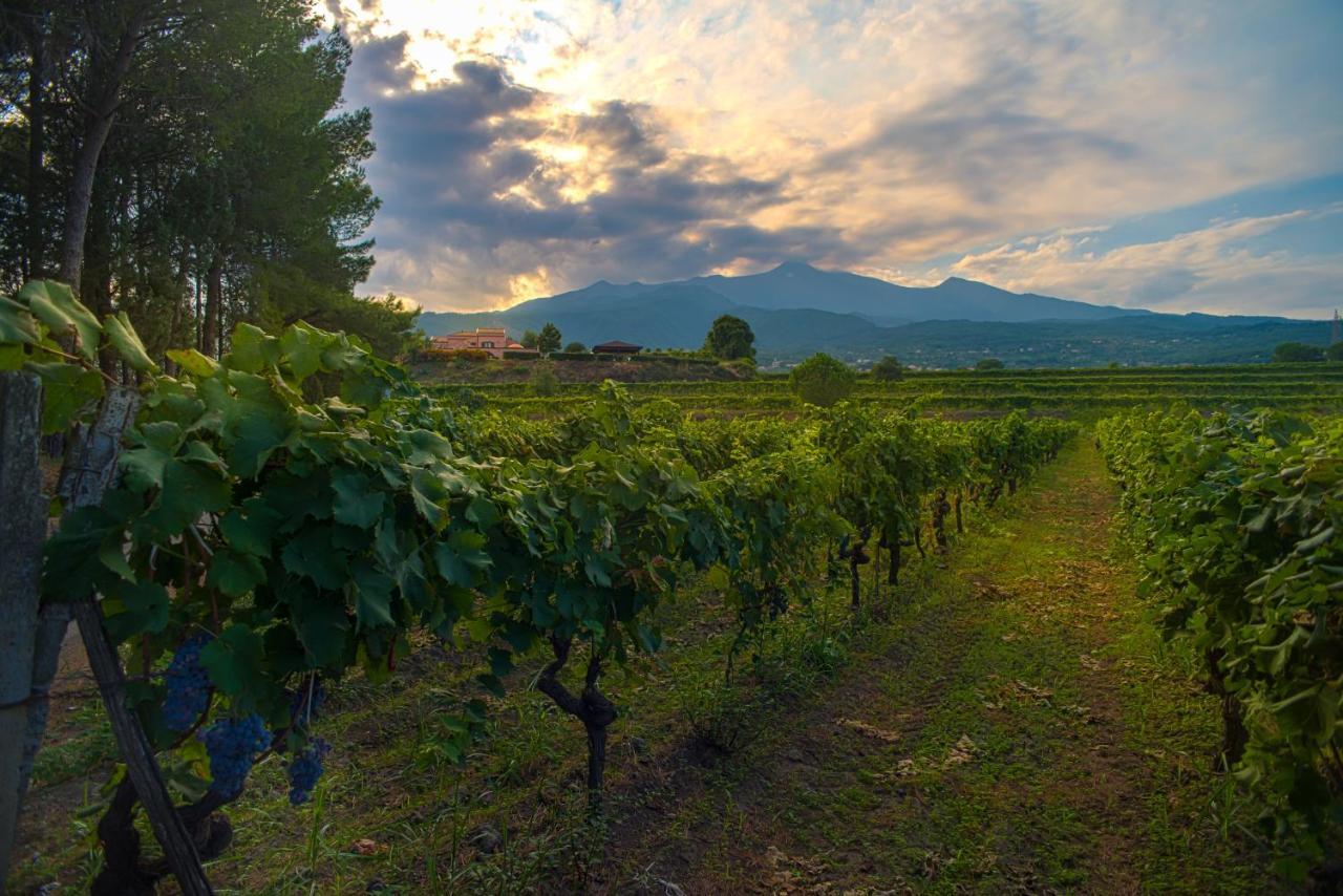 Agriturismo Tenuta San Michele Санта Венерина Екстериор снимка